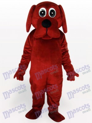 Brauner Rooney Hund Tier Maskottchen Lustiges Kostüm