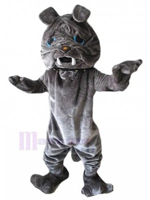 Graues Fell Sharpei Hundemaskottchen-Kostüm mit blauen Augen Tier