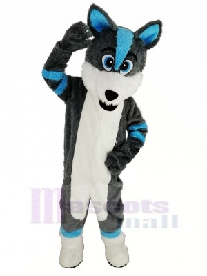 Blau und Grau Heiser Hund Fursuit Maskottchen Kostüm