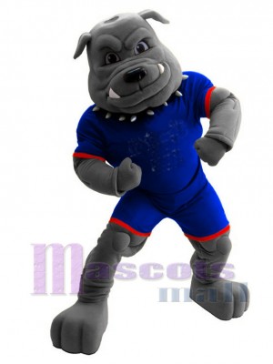 Bulldogge Maskottchen-Kostüm in königsblauem Jersey Tier