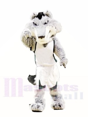 Hochschule Heftig Wolf Maskottchen Kostüme