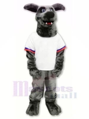 Whippet Hund im T-Shirt Maskottchen Kostüme Karikatur