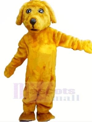 Gelb Leicht Hund Maskottchen Kostüme Karikatur
