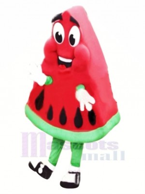 Hoch Qualität Wassermelone Maskottchen Kostüm Karikatur