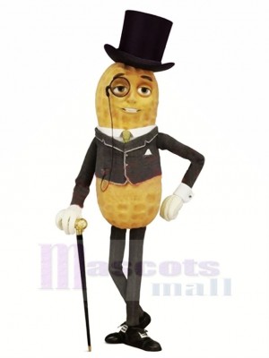 Gut aussehend Herr Erdnuss mit Hut Maskottchen Kostüm Karikatur