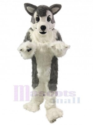 Langhaar grauer Wolf Husky Hund Maskottchen Kostüm Tier