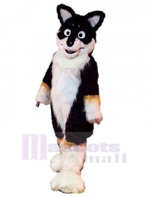 Brauner Hundefuchs Husky Hund Maskottchen Kostüm Tier mit großen Augen