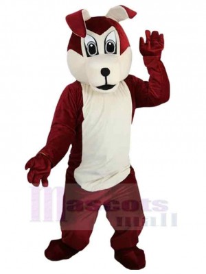 Rotbrauner Hund Maskottchen Kostüm Tier