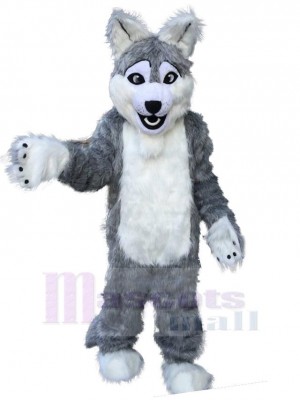 Lustiger langer grauer Wolf Maskottchen Kostüm Tier Erwachsene