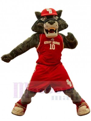 Berufskolleg Wolf Maskottchen Kostüm Tier in roten Kleidern