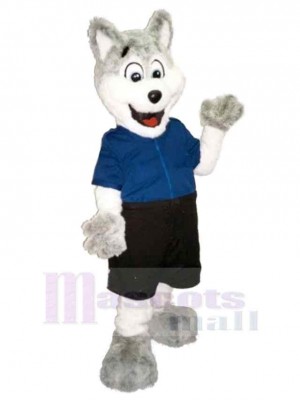 Süßer weißer und grauer Wolf Maskottchen Kostüm Tier im blauen T-Shirt