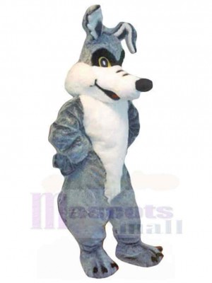 Cartoon Grauer Wolf Kojote Maskottchen Kostüm Erwachsene