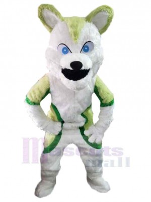 Lustiger Wolf Maskottchen Kostüm Tier mit blauen Augen