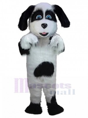 Freundlich Weiß und Schwarz Alter englischer Schäferhund Maskottchen Kostüm Tier