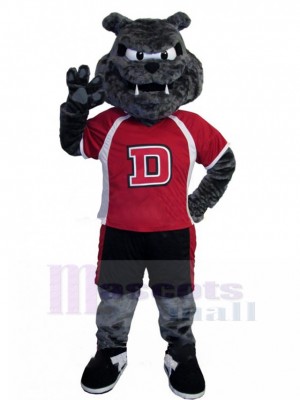 Energiegeladen Athlet Graue Bulldogge Maskottchen Kostüm im roten T-Shirt Tier