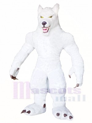 Weiß Wolf Maskottchen Kostüme Tier