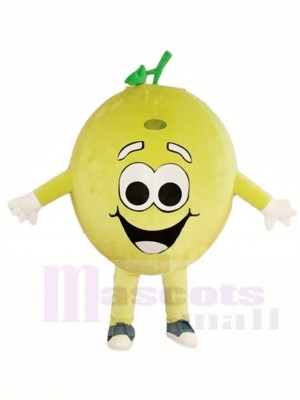 Glückliche Zitronen Kalk Maskottchen Kostüme Frucht Anlage