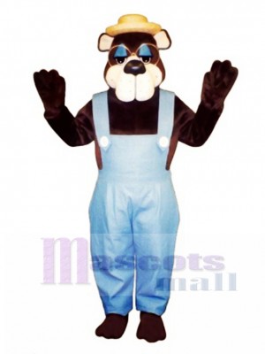 Süße Country Bear mit Overall, Brille & Hut Maskottchen Kostüm Tier