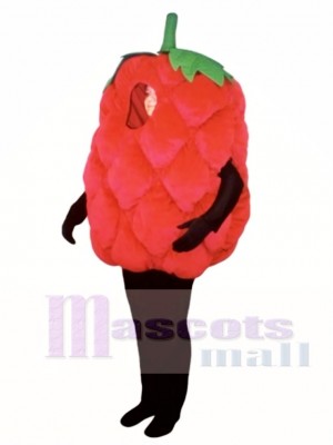 Frisches Himbeer Maskottchen Kostüm Frucht 