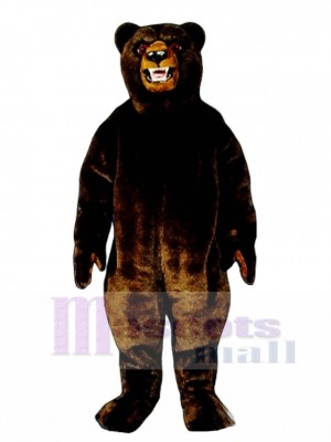 Grizzly Schwarz Bär Maskottchen Kostüme Tier