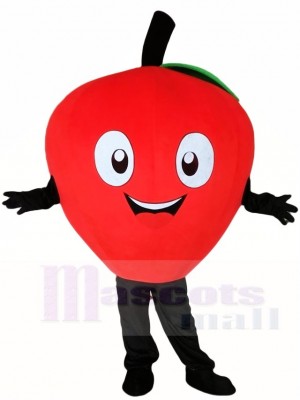 roter Apfel Maskottchen Kostüme Pflanze Obst