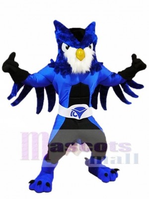 königlich Blau Eule Maskottchen Kostüme Tier