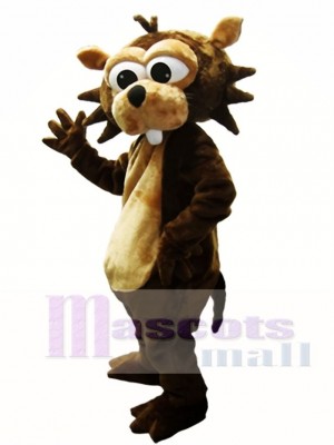 Eichhörnchen Maskottchen Kostüm Waldtier Maskottchen Kostüme Tier