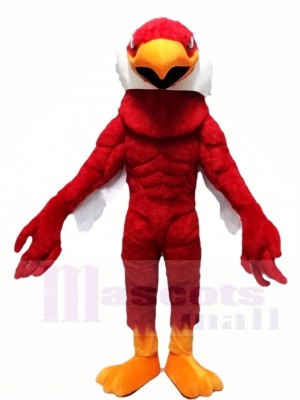 Weißer Kopf Roter Muskel Adler Maskottchen Kostüme Tier