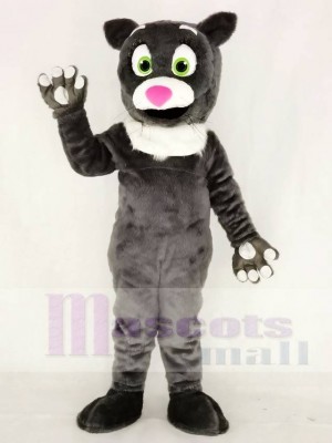 Behaarte graue Katze Maskottchen Kostüme Tier