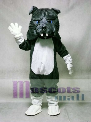 Grau Bulldogge Hund mit weißem Bauch Maskottchen Kostüm Tier