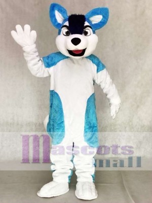 Blauer Husky Hund Fursuit Maskottchen Kostüm Tier Cartoon