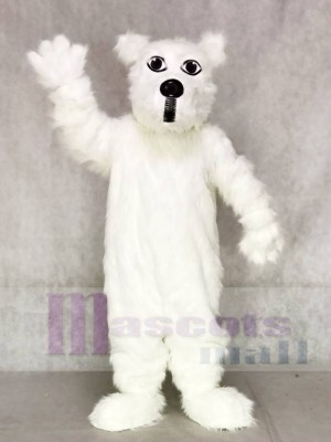 Behaart Weiß Scottie Hund Maskottchen Kostüme Tier