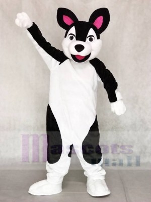 Schwarz und Weiß Heiser Hund Maskottchen Kostüme Tier