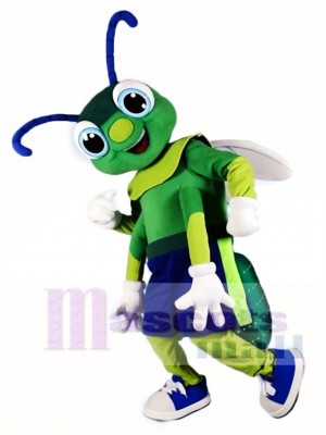 Grünes Leuchtkäfer Maskottchen kostümiert Insekt