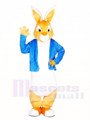 Peter Rabbit Easter Bunny Maskottchen Kostüme Cartoon Tier