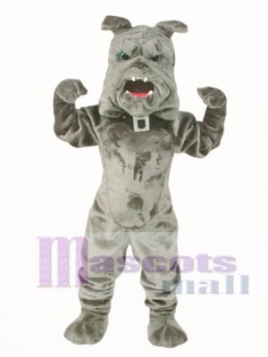 Nettes Bully Bulldogge Hunde maskottchen Kostüm
