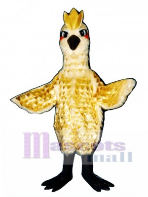 Süße goldene Phoenix mit Gold Lame Federn Maskottchen Kostüm Vogel  