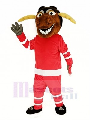 Elch Eis Eishockey Spieler mit rot Sweatshirt Maskottchen Kostüm