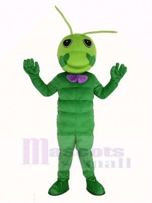 Grün Wurm Maskottchen Kostüm Tier
