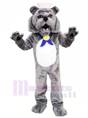 Grau Bulldogge Maskottchen Kostüme Erwachsene