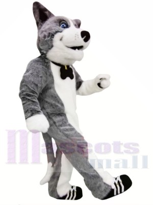 Süß Grauer Hund Maskottchen Kostüme