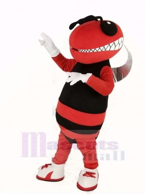 Rot und Schwarz Hornisse Biene Maskottchen Kostüm Insekt
