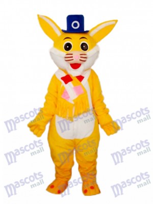Ostern Gelbes Kaninchen Maskottchen Erwachsene Kostüm Tier