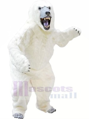 Polar Weiß Bär Maskottchen Kostüme Tier