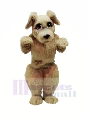 Pelzig Hund mit Groß Augen Maskottchen Kostüme Karikatur
