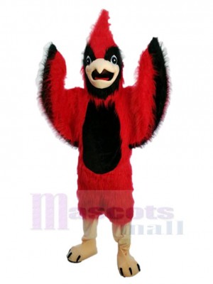 Roter Phönixvogel Maskottchen-Kostüm Tier