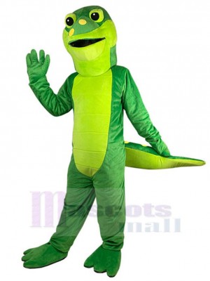 Krokodil maskottchen kostüm