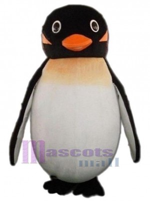 Schöner Pinguin Maskottchen-Kostüm Ozean