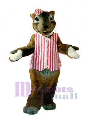 Streifenhörnchen maskottchen kostüm
