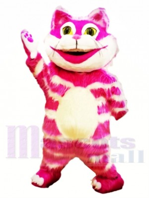 Cheshire Katze Maskottchen Kostüme